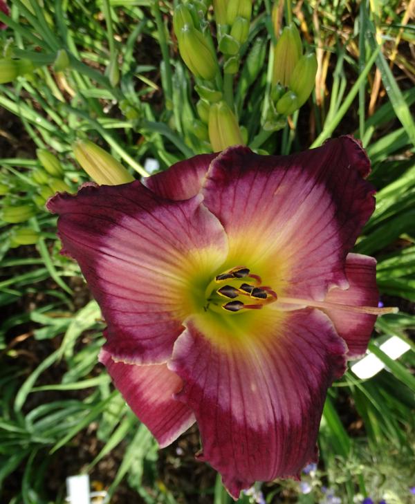 Nature's Artwork (2)